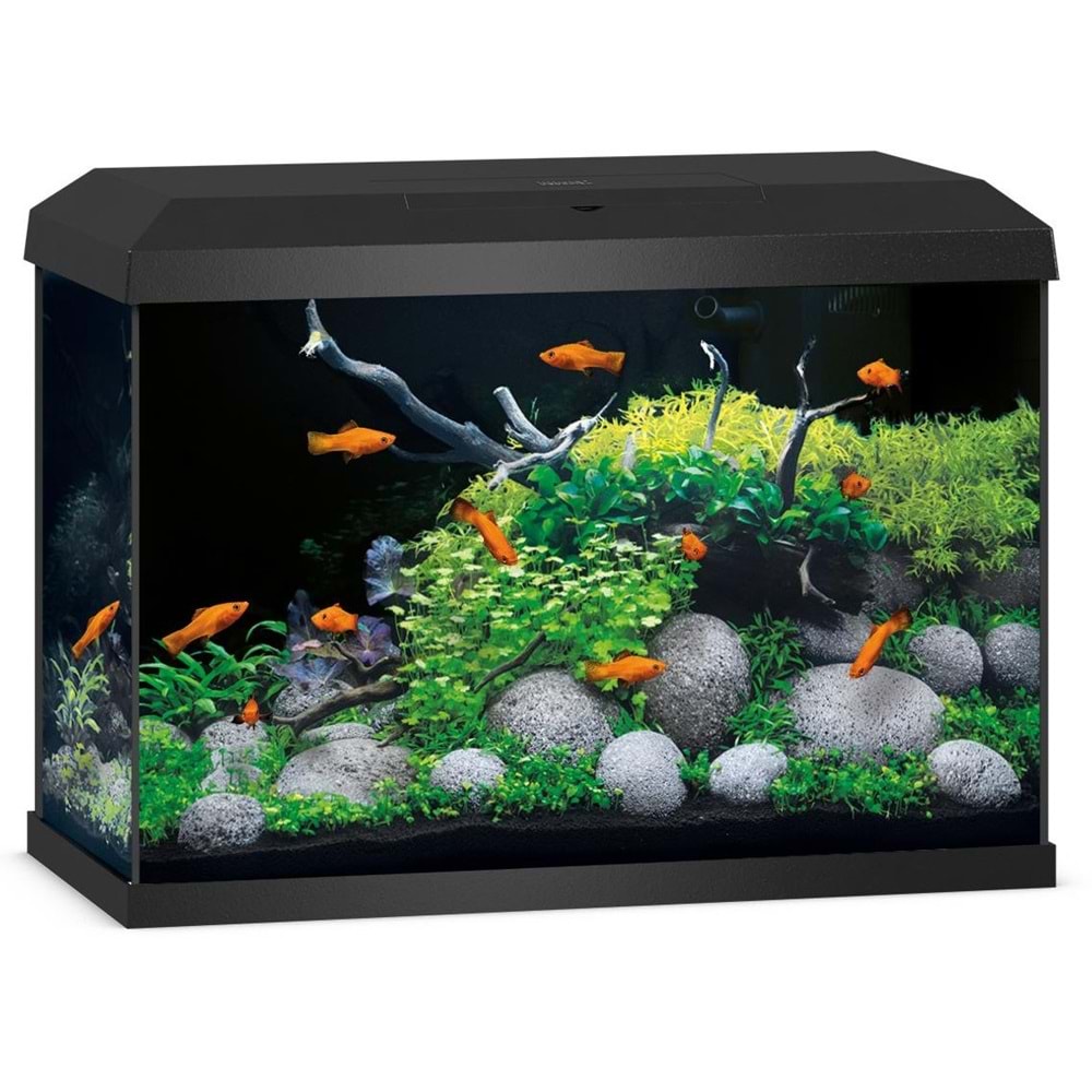 Juwel Akvaryum Komple Set Primo 70 2.0 Siyah 61x31x44 cm 70 Lt