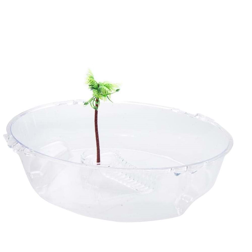 Makro Pet Kaplumbağa Bahçesi