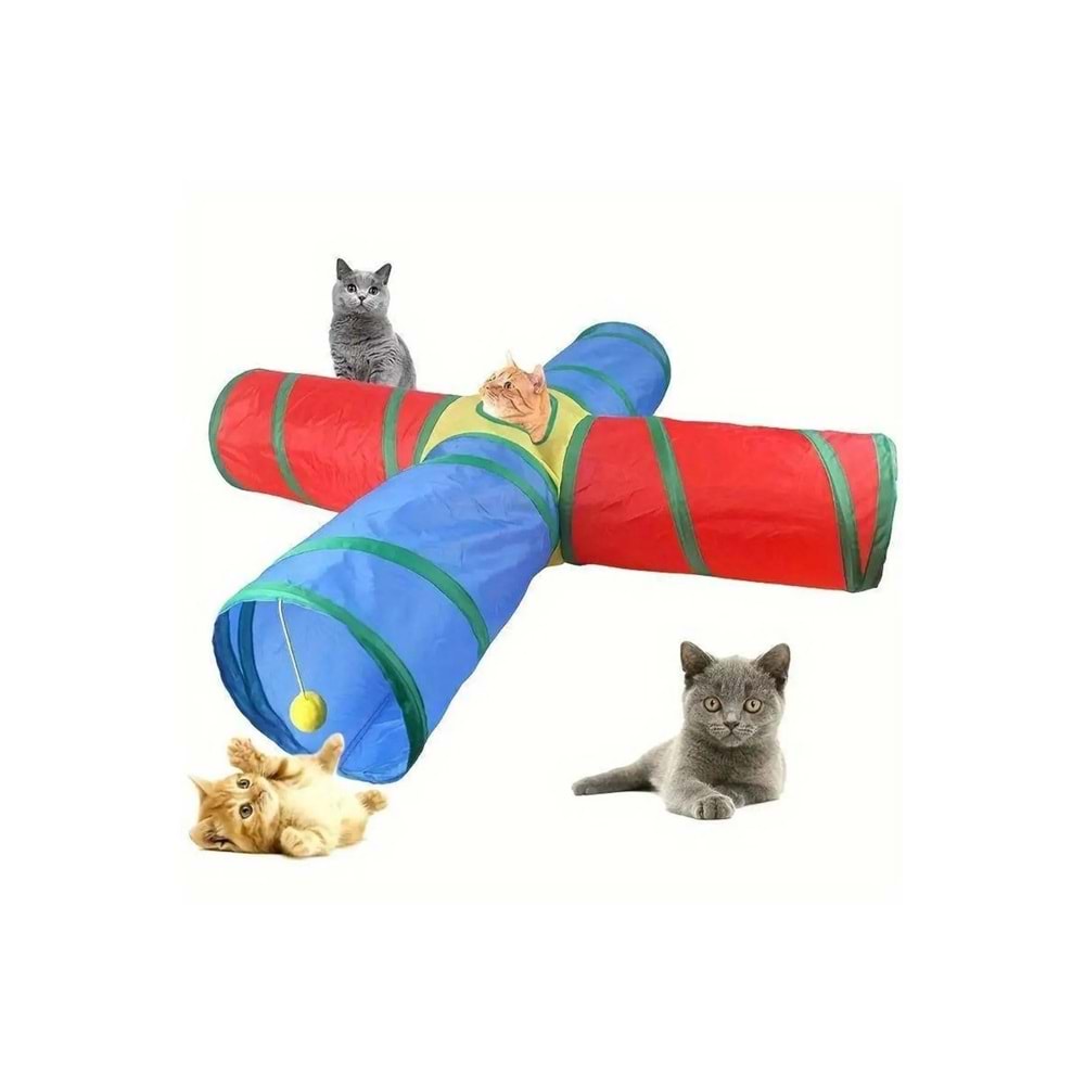 DÖRT YOLLU KEDİ TÜNELİ