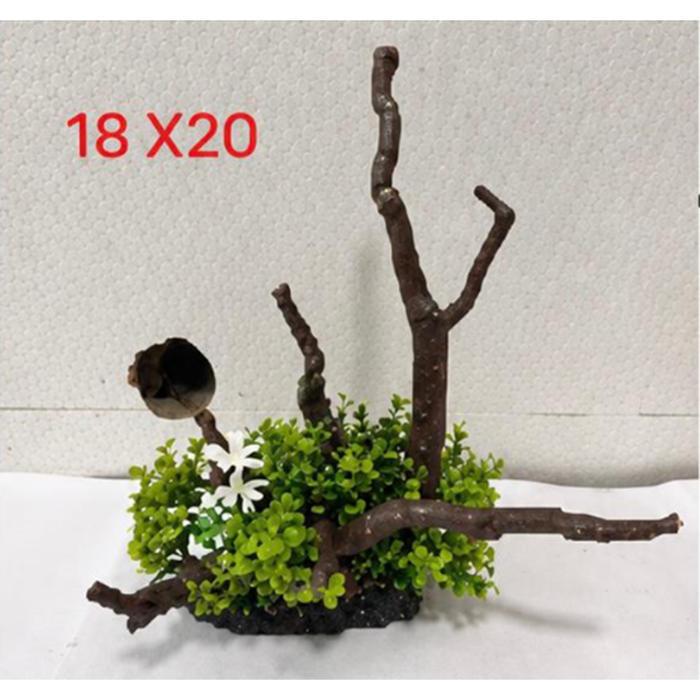 MAKRO AKVARYUM 'DRİFTWOOD PLANT (18*20 )