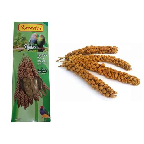 DAL DARI KARDELEN