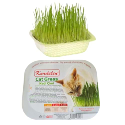 KEDİ ÇİMİ KARDELEN