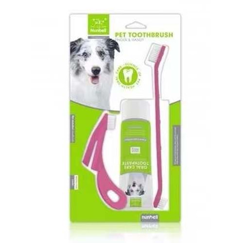 Nunbell Dental Kıt Set 3'lü
