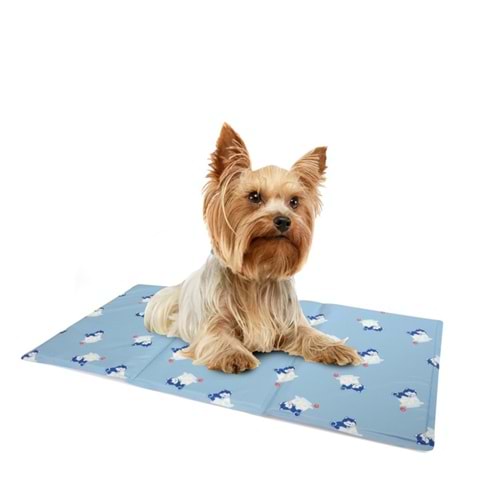Camon Soğutucu Serinletici Mat 65x50 cm C7951