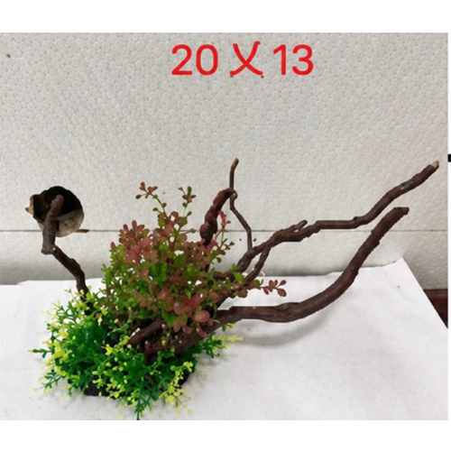 MAKRO AKVARYUM DRİFTWOOD PLANT ( 20*13 )